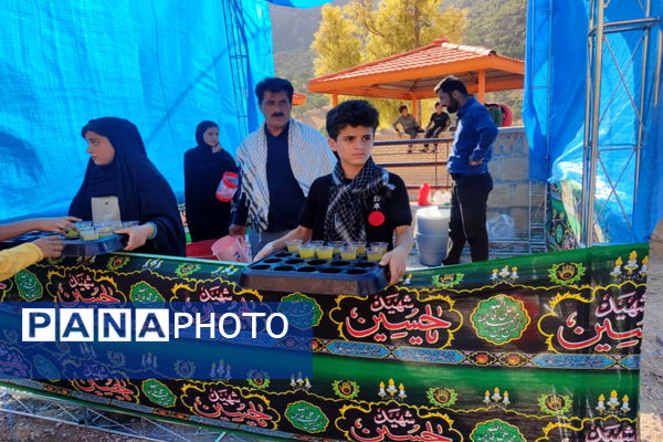 پذیرایی موکب‌ها از جاماندگان اربعین حسینی در دیشموک