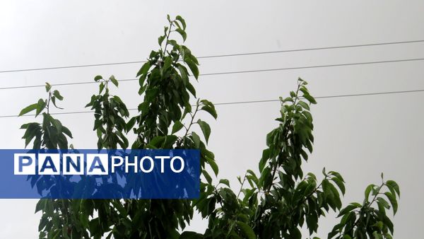 غافلگیری شهر بن از طرف آسمان