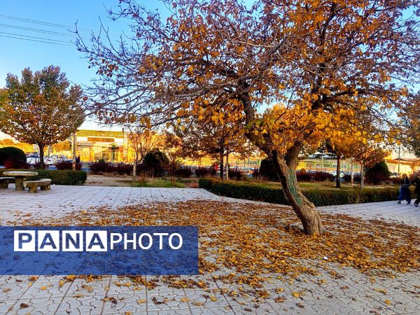 طبیعت زیبای کاشمر در پاییز