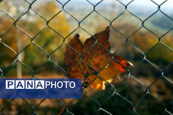 هرچه می‌گذرد، بیشتر به شبی سردتر و طولانی‌تر نزدیک می‌شویم