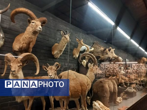 بازدید از پارک علمی تفریحی پروفسور بازیما مشهد