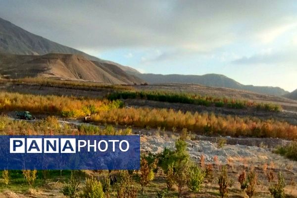 تصاویر زیبا از پاییز رنگارنگ در شهر دار السادات بار نیشابور 