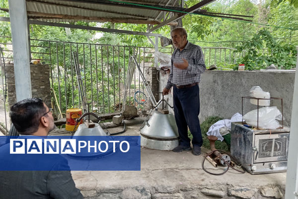 بازدید دانش‌آموزان جعفرآباد از کارگاه گلاب‌گیری روستای «بنابر»