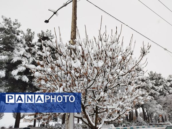 جلوه های زیبا از بارش برف در شهرستان نیشابور 