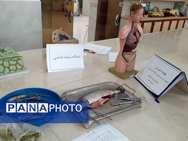 برگزاری مرحله استانی جشنواره نوآوری در بجنورد