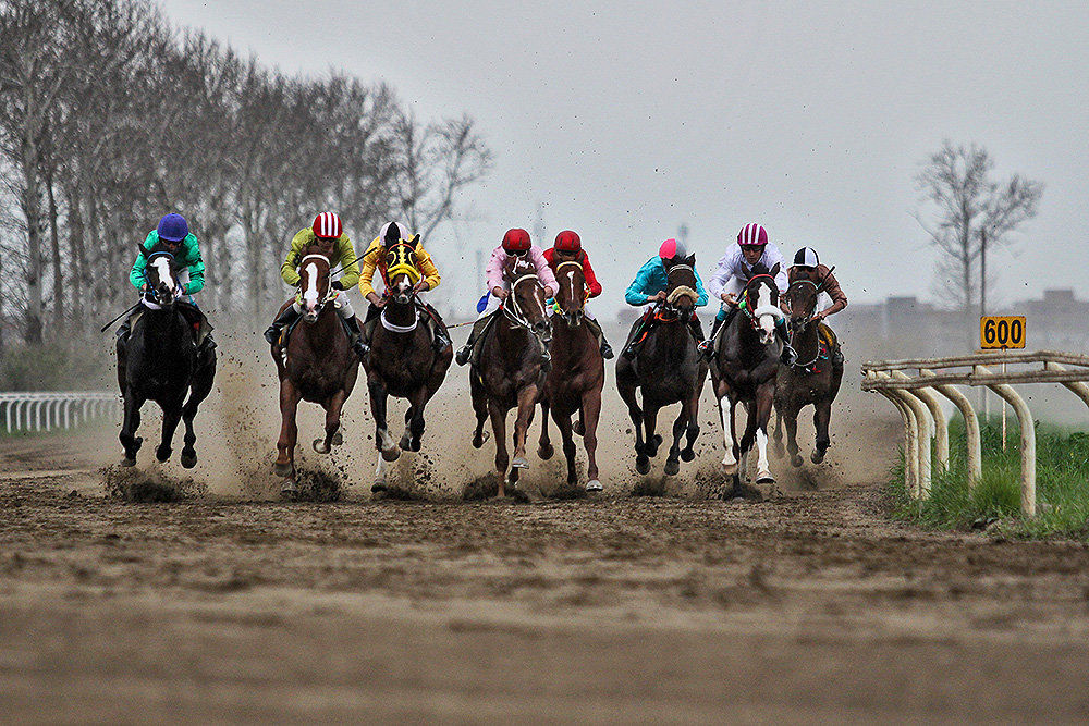 تاخت اسب‌های نژاد ایرانی در کورس ۷۷ میلیارد ریالی پاییزه گنبدکاووس