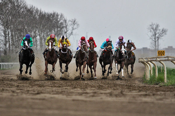 تاخت اسب‌های نژاد ایرانی در کورس ۷۷ میلیارد ریالی پاییزه گنبدکاووس