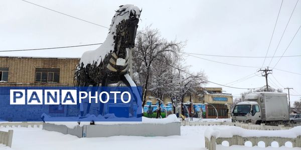 سکوت برفی بروجن، قلب شهر را به تپش انداخت