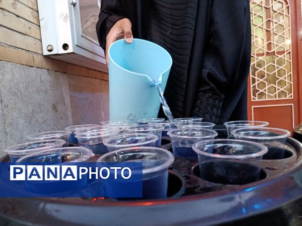 موکب دلدادگی در حاجی‌آباد عطر شهادت امام رضا (ع) در مسجد جامع پیچید