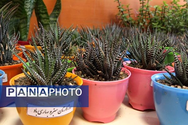 برگزاری جلسه قطبی مدیران مدارس شهرستان‌های استان تهران در بهارستان‌2