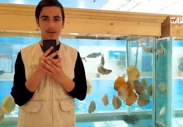 بازدید وزیر ورزش و جوانان از پروژه‌های ورزشی شهرستان کاشمر