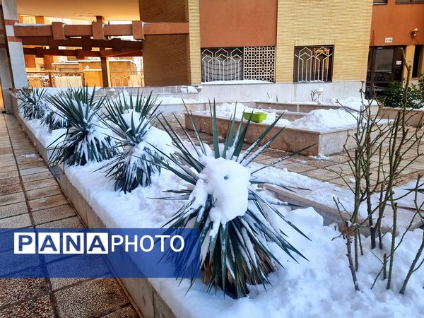بارش برف شدید و سفید پوش شدن شهر زیبای مشهد 