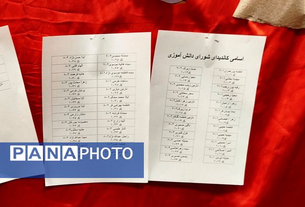 برگزاری انتخابات شورای دانش آموزی در کاشمر