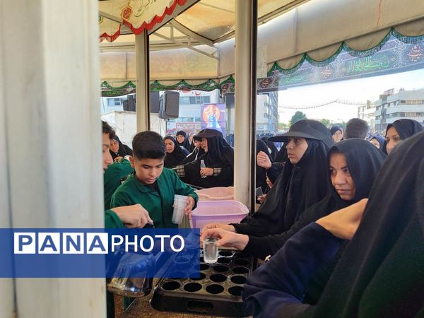 راهپیمایی خانوادگی گرامیداشت روز عفاف و حجاب در میدان شهدا مشهد 