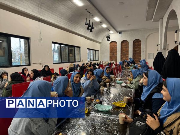 سفری هیجان انگیز به دنیایی تمشک با دختران ملارد 
