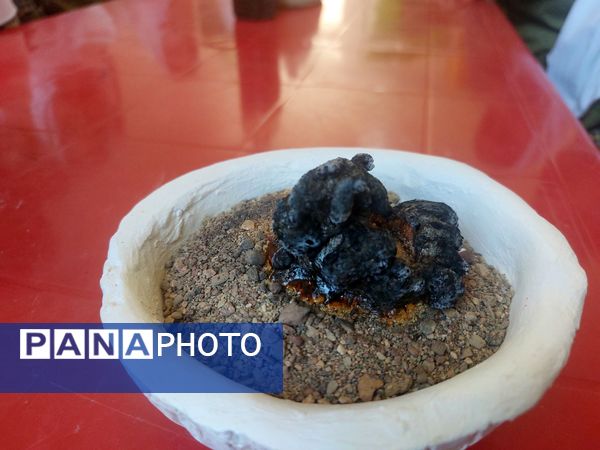 نخستین همایش «از علم تا عمل» در مدارس حاجی‌آباد