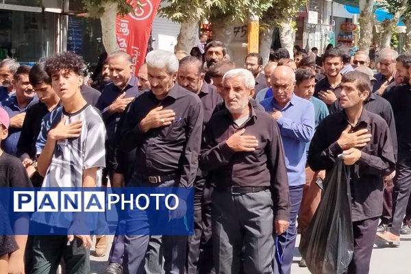 شکوه عزاداران رضوی در لردگان