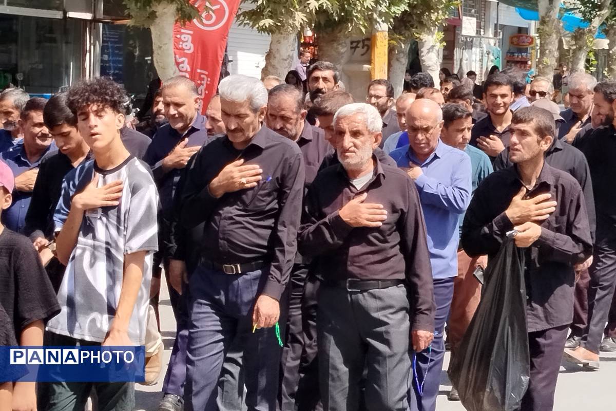 شکوه عزاداران رضوی در لردگان