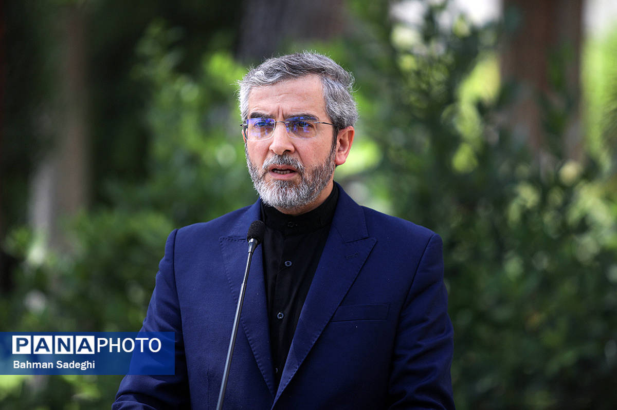 باقری: ایران آماده شکوفایی «اکو» در عرصه تعامل و همکاری است