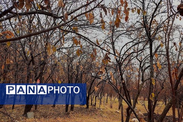 چهره شفاف و دل انگیز شهربارنیشابور با بارش  باران پاییزی  