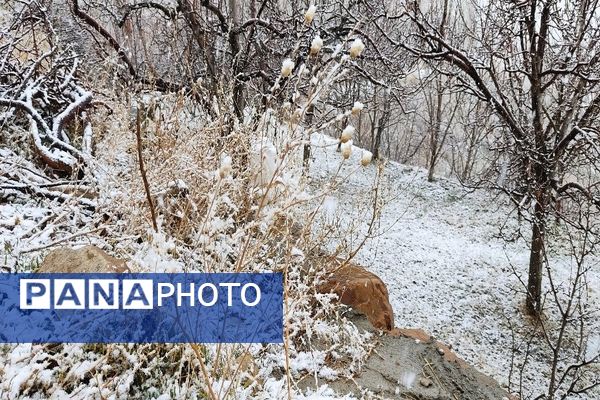 شروع اولین بارش برف زمستانی در بهمن ماه ۱۴۰۳ در شهر زیبای با‌ر