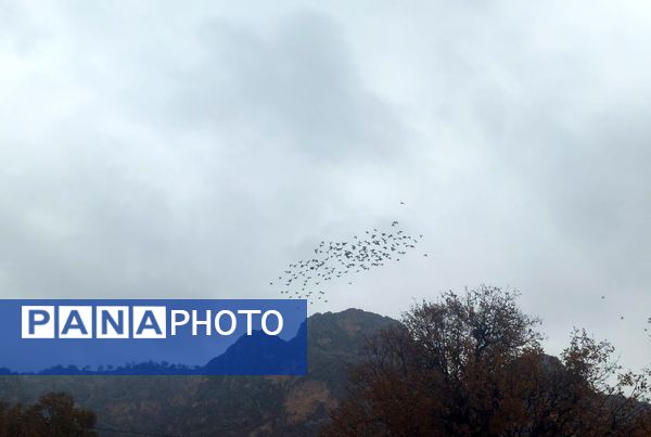 بازگشت باران به میانکوه پس از ماه‌ها خشکسالی