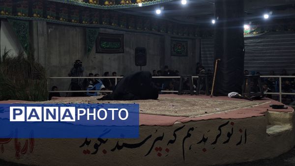 عطر غربت فاطمی در مارکده پیچید