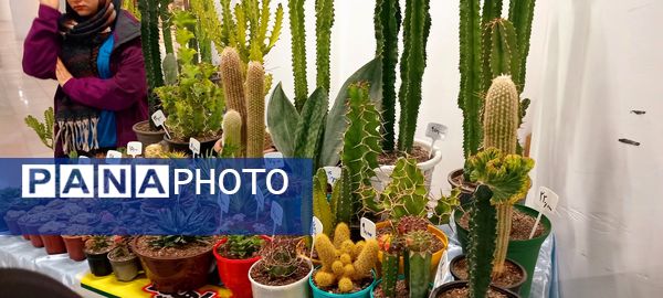 نمایشگاه انجمن خیریه ام اس در مجتمع طلای سفید بجنورد