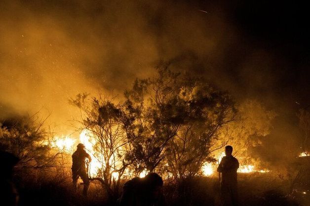 آتش‌سوزی مراتع و جنگل‌های لرستان عمدی بوده و 17 نفر تحت پیگیرد قرار گرفته‌اند