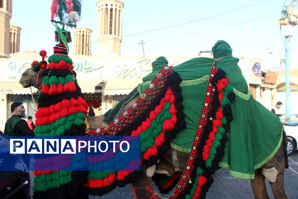 کاروان نمادین حضور امام رضا (ع) در یزد