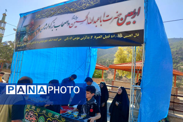 پذیرایی موکب‌ها از جاماندگان اربعین حسینی در دیشموک