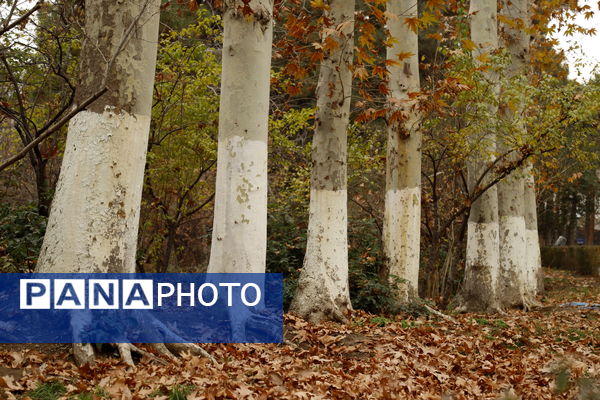 خلوت سرای پاییزی سعدآباد