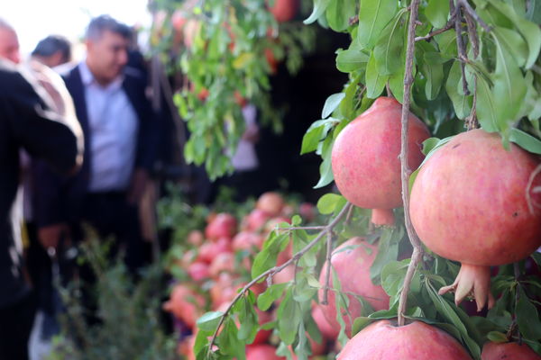 کوهدشت میزبان جشن سرخ زاگرس 