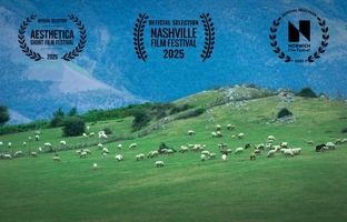 حضور فیلم کوتاه «گوسفند» در جشنواره‌های آمریکایی، انگلیسی 