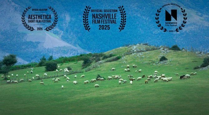 حضور فیلم کوتاه «گوسفند» در جشنواره‌های آمریکایی، انگلیسی 