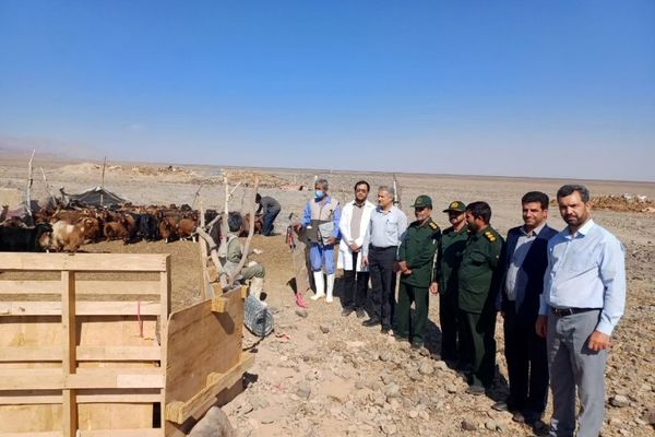 اجرای طرح واکسیناسیون دام عشایر و بازدید میدانی از مناطق دامنه سیدی بم