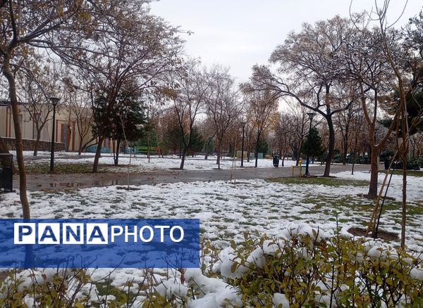 بارش برف در شهر زیبای مشهد 