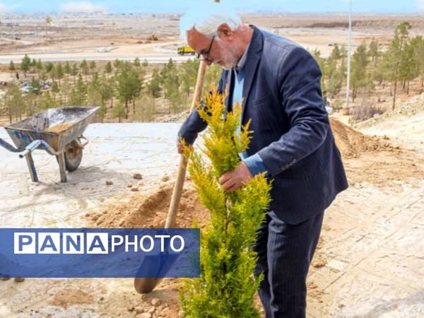 به یاد شهیدان  ترشیز کهن هزار و۲۲۲ نهال در بامشار  کاشمر کاشته شد