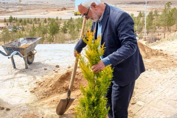 به یاد شهیدان  ترشیز کهن هزار و۲۲۲ نهال در بامشار  کاشمر کاشته شد
