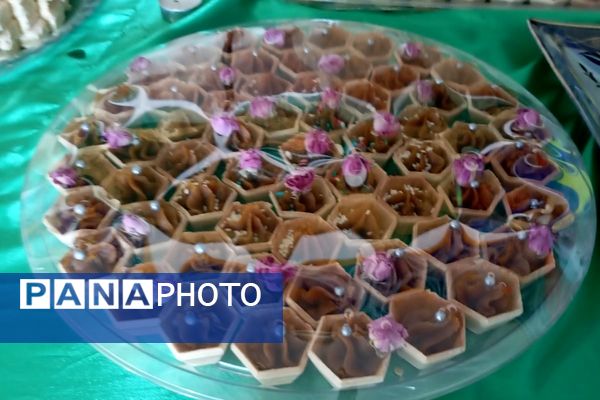 هیئت شهرستانی به مناسبت شهادت حضرت زهرا(س) در دبیرستان حضرت معصومه(س) شهرستان فیروزکوه