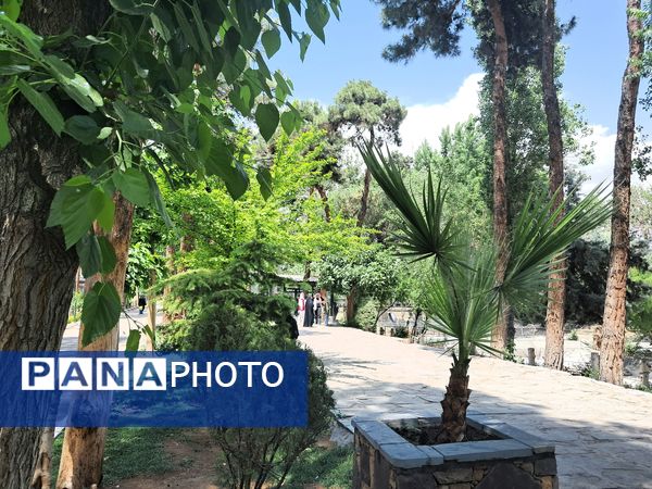 بازدید از باغ وحش ارم ،تجربه‌ای بی‌نظیر در دنیای شگفت‌انگیز حیوانات 