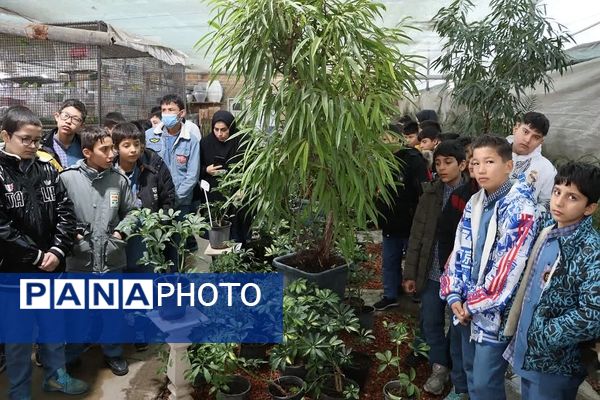 بازدید دانش‌آموزان دبستان شهید سلیمی جهرمی از گلخانه شهرداری کهریزک 