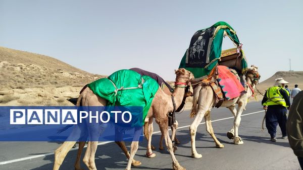پیاده روی زائران امام رضا(ع) از ملک آباد تا مشهد 