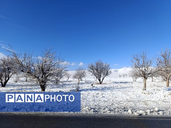 برف زمستانی مهمان شهرستان کیار شد