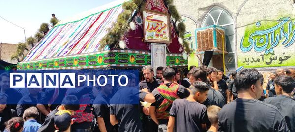 اجرای آیین کهن نخل‌گردانی و بیل‌زنی در روستای فدافن