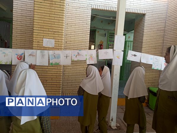پشه آئدس سوژه نقاشی دانش‌آموزان شد