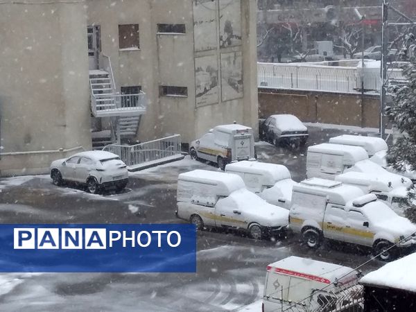 بارش برف شدید و سفید پوش شدن شهر زیبای مشهد 
