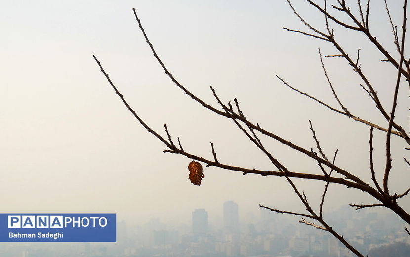 آلودگی هوای تهران