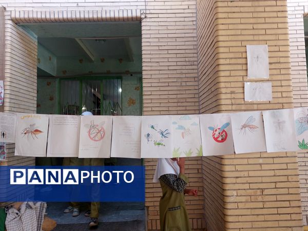 پشه آئدس سوژه نقاشی دانش‌آموزان شد
