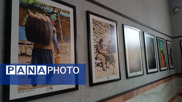 برپایی دومین نمایشگاه عکس گروهی اعضای انجمن عکاسان شهرستان روانسر